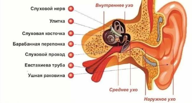 Как наушники повреждают ваш слух